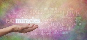 Read more about the article My Miracle Dog, Roni.