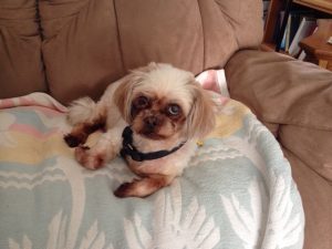 Read more about the article God’s Compassion